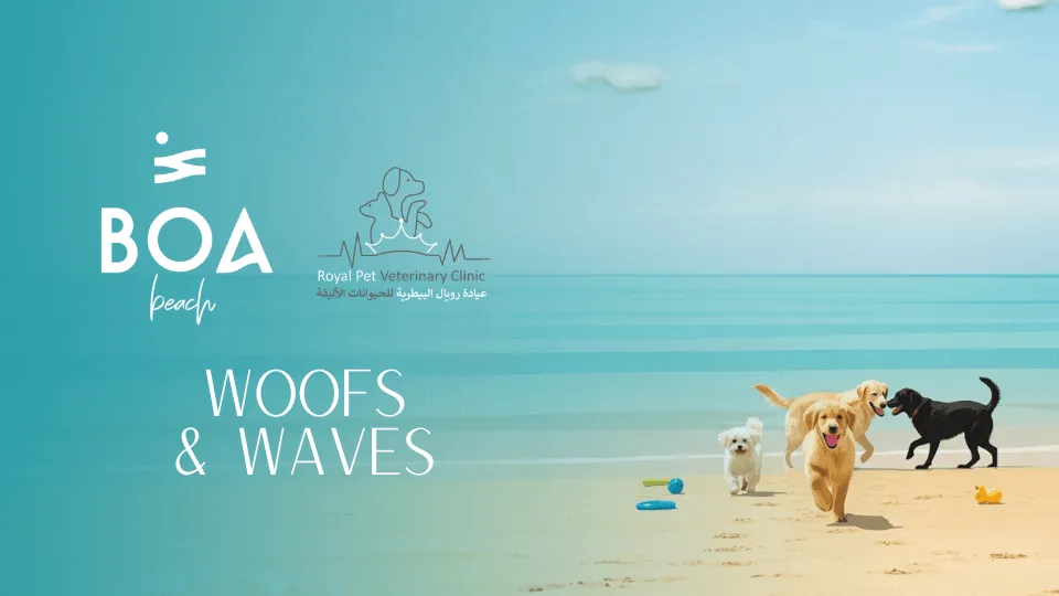 Woofs & Waves at Boa the Beach - Image 1